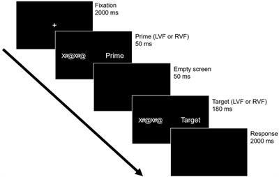 Contributions of hemispheric dynamics in visual word recognition: uncovering familiarity effects through lateralized priming